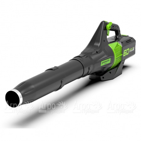Воздуходувка аккумуляторная GreenWorks GD60ABK4  в Ставрополе