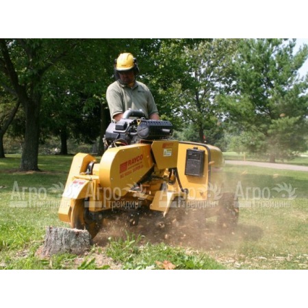 Измельчитель пней Rayco Super RG 50  в Ставрополе