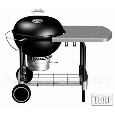 Гриль барбекю One-Touch® Platinum Black  в Ставрополе