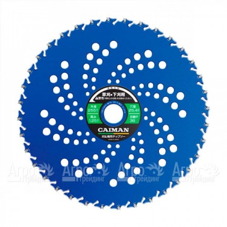 Диск японский 10&quot; 255x25x36P (против камней) для триммеров Caiman  в Ставрополе