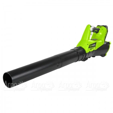 Воздуходувка аккумуляторная GreenWorks G40ABK4  в Ставрополе