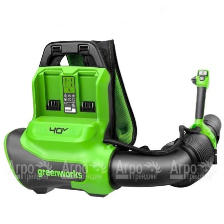 Воздуходувка аккумуляторная GreenWorks GD40BPG2  в Ставрополе