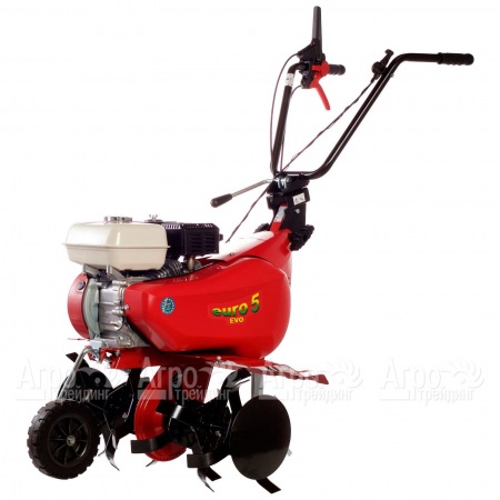 Культиватор Eurosystems Euro-5 EVO RM S/R Honda GX160 в Ставрополе