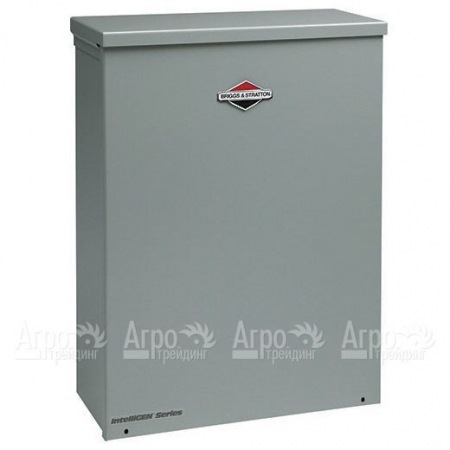 Блок автоматики Briggs&amp;Stratton 100A  в Ставрополе