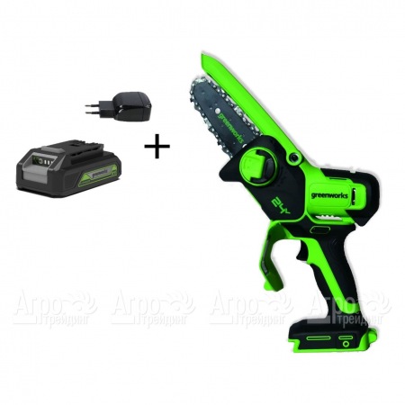 Аккумуляторная пила GreenWorks G24MCS10K2  в Ставрополе