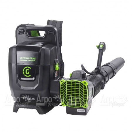 Воздуходувка аккумуляторная GreenWorks 2407207 (без батареи и зарядного устройства)  в Ставрополе