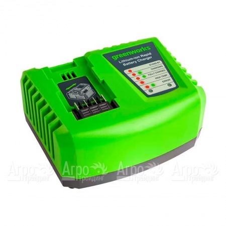 Быстрое зарядное устройство Greenworks G40UC4  в Ставрополе