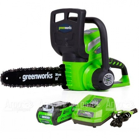 Аккумуляторная пила GreenWorks G40CS30II-12&quot; 2 Ач  в Ставрополе