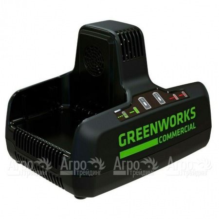 Быстрое зарядное устройство GreenWorks G82C2  в Ставрополе