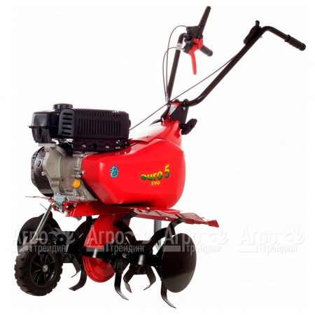 Культиватор Eurosystems Euro-5 EVO RM Loncin TM60  в Ставрополе