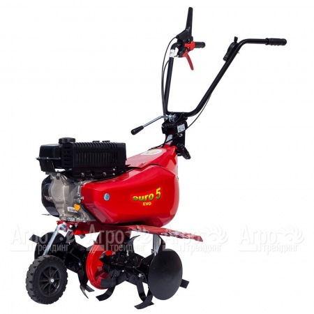 Культиватор Eurosystems Euro-5 EVO RM S/R Loncin TM60  в Ставрополе