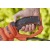 Электрический кусторез (электрокусторез) Black+Decker BEHTS551 в Ставрополе