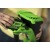 Воздуходувка аккумуляторная GreenWorks G40AB (без батареи и зарядного устройства) в Ставрополе
