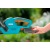 Аккумуляторный кусторез Gardena EasyCut 42 Accu в Ставрополе