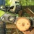 Аккумуляторная пила GreenWorks G-Max GD40CS40 40V-16 (без аккумулятора и зарядного устройства) в Ставрополе