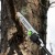 Высоторез аккумуляторный GreenWorks PS102T (без аккумулятора и зарядного устройства) в Ставрополе
