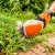 Аккумуляторные ножницы для кустарников Stihl HSA 26 (без аккумулятора и зарядного устройства) в Ставрополе