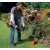 Бензокоса (бензиновый триммер) Stihl FS 38 с дополнительной шпулей в Ставрополе