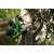 Аккумуляторная пила GreenWorks G40CS30K6-12" в Ставрополе