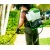 Аккумуляторный опрыскиватель GreenWorks GW-BPS60 (без аккумулятора и зарядного устройства) в Ставрополе