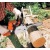 Бензопила Stihl MS 230-14" в Ставрополе