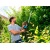 Электроножницы Gardena ComfortCut 550/50 в Ставрополе