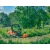 Садовый райдер Husqvarna P525DX с кабиной в Ставрополе