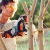 Аккумуляторная пила Stihl MSA 120 C-BQ-12 в Ставрополе