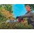 Аккумуляторный кусторез Einhell PXC GE-CH 36/62 Li-Solo (без аккумулятора и зарядного устройства) в Ставрополе
