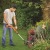 Аккумуляторный триммер Black+Decker ST1823 (2 аккумулятора) в Ставрополе