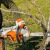 Аккумуляторная пила Stihl MSA 220 C-B-14" (без аккумулятора и зарядного устройства) в Ставрополе
