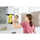 Стеклоочиститель Karcher WV 5 Premium в Ставрополе