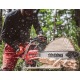 Бензопила Shindaiwa 501SX в Ставрополе