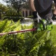 Электрический кусторез (электрокусторез) GreenWorks GHT5054 500 Вт в Ставрополе