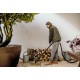 Хозяйственный пылесос Karcher WD 3 S V-19/4/20 SuctionBrushKit в Ставрополе