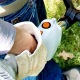 Бензокоса (бензиновый триммер) Stihl FS 45 C-E в Ставрополе