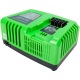 Быстрое зарядное устройство Greenworks G40UC5 в Ставрополе