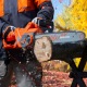 Пила цепная (электропила) Daewoo DACS 2500E-16 в Ставрополе