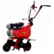 Культиватор Eurosystems Euro-5 EVO RM S/R B&amp;S 950 Series в Ставрополе