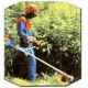 Бензокоса (бензиновый триммер) Stihl FS 38 в Ставрополе