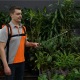 Аккумуляторный опрыскиватель Daewoo DSA 12Li SET в Ставрополе