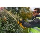 Аккумуляторный кусторез Dewalt DCM563PB (без аккумулятора и зарядного устройства) в Ставрополе