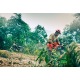 Бензопила Husqvarna 455e Rancher-18&quot; в Ставрополе