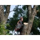 Бензопила Husqvarna 545 Mark II-15&quot; в Ставрополе